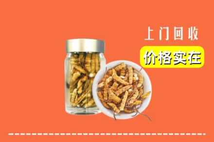 黔东南剑河县回收散虫草