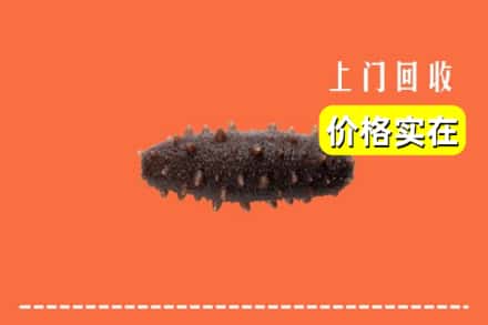 黔东南剑河县回收海参