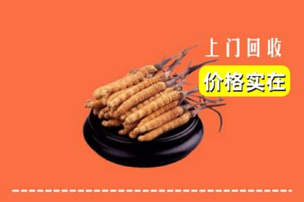 黔东南剑河县回收冬虫夏草